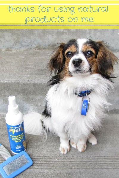 Avoid Toxic Ingredients In Pet Grooming Products