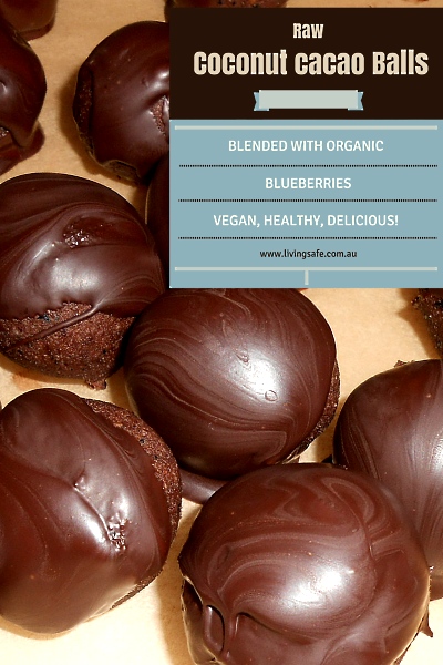 Raw Coconut Cacao Blueberry, Vegan Bliss Ball Recipe 