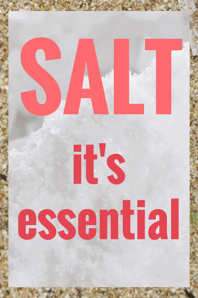 The Reasons Why We Need Salt In Our Diets