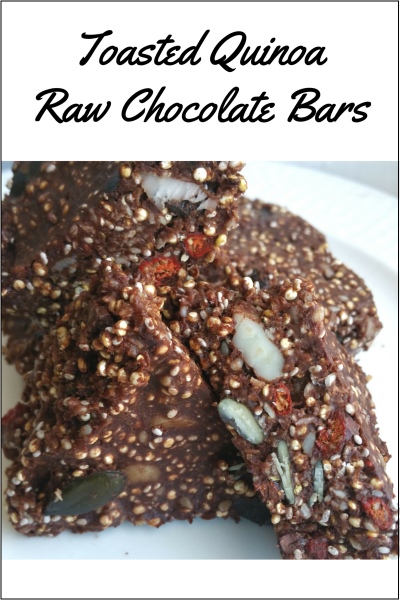 Toasted Quinoa Raw Chocolate Seed Bar Recipe
