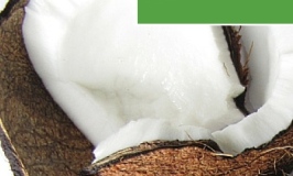 The health benefits of coconut oil and uses for raw coconut oil