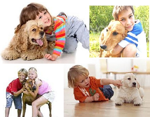 Dog interaction with children warning signs