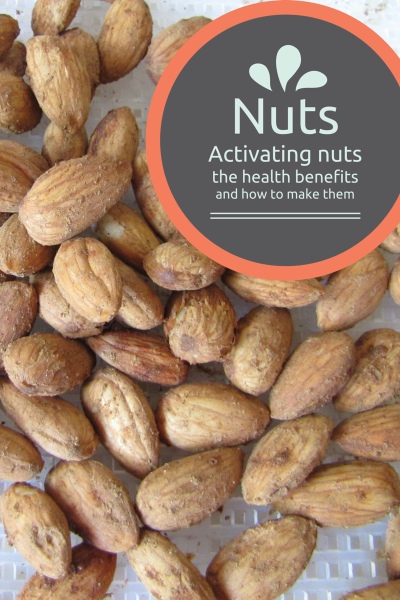 Learn How To Activate Nuts 