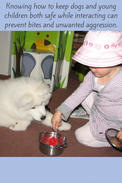 Teaching Children How To Behave Around Dogs
