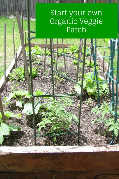How to start your own organic raised veggie patch