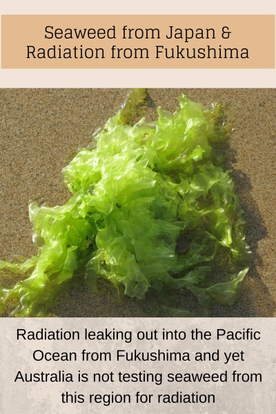 Japanese Seaweed Products And Radiation Contamination
