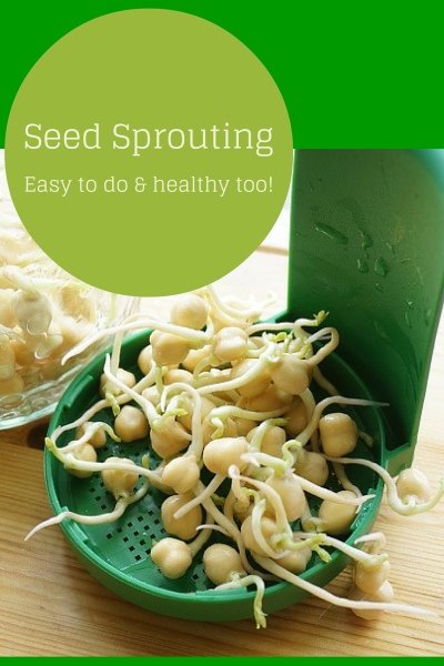 The health benefits of organic seed sprouting and instructions on how to grown your own organic sprouts in a mason jar.