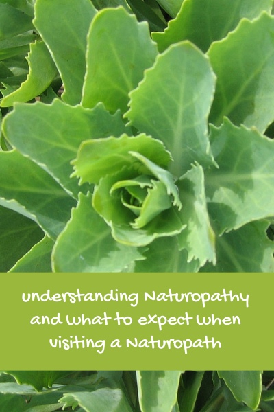 What Is A Naturopath and What Do They Treat