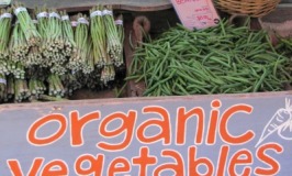 why organic food is healthier and better for you