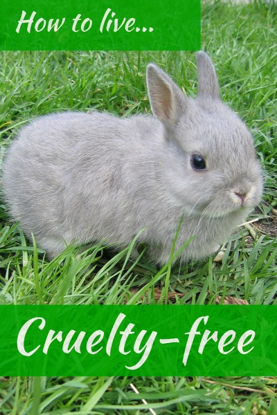 How To Live Cruelty-Free Checklist