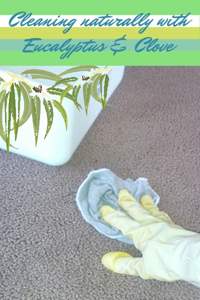 Cleaning Tips using Eucalyptus and Clove Essential Oil