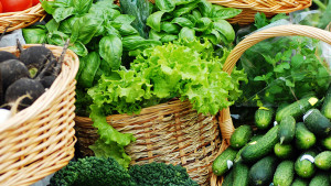 organic food and safe food storage directory