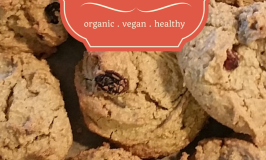 Gluten Free Vegan Cinnamon, Sultana Oat Cookie Recipe
