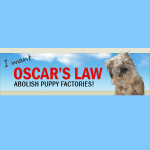 Oscars Law to Abolish Puppy Factories
