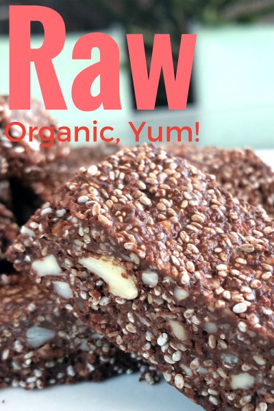 Raw, Vegan, Chocolate Nut Slice - FODMAP Friendly