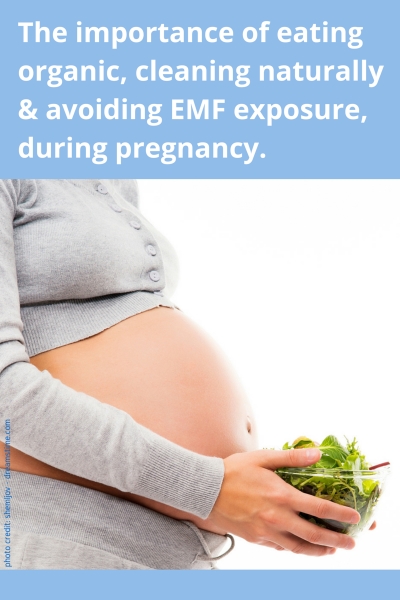 Reducing Your Unborn Baby's Exposure To EMF, Pesticides and Toxic Chemicals