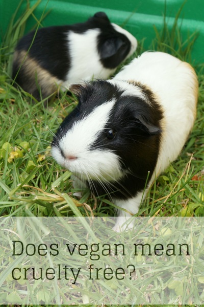 Vegan or Organic Does Not Necessarily Mean Cruelty Free