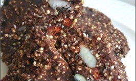 Toasted Quinoa Choc Seed & Nut Bar recipe
