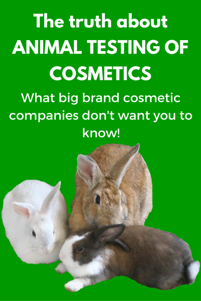 How Cosmetics Are Actually Tested On Animals