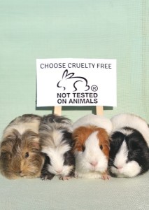 Choosing Cruelty Free Cosmetics