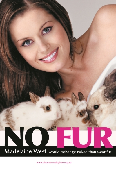 Is it Real Fur or is it Fake Fur
