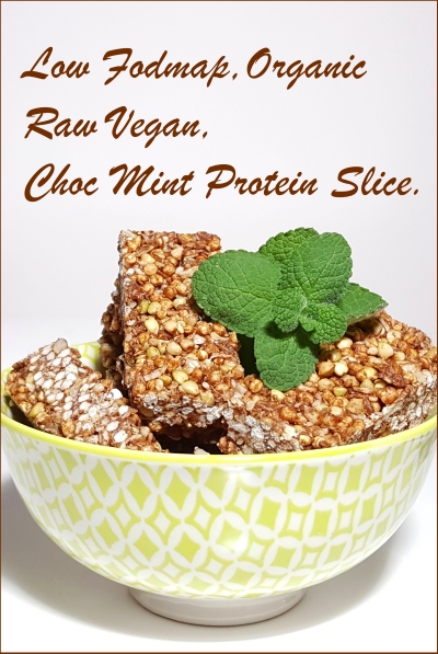 Low Fodmap Raw Vegan, Organic Choc Mint Protein Slice