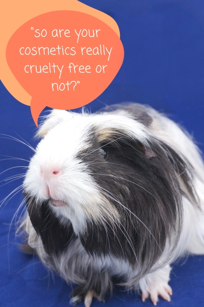 Cruelty Free Labelling of Cosmetics The Truth