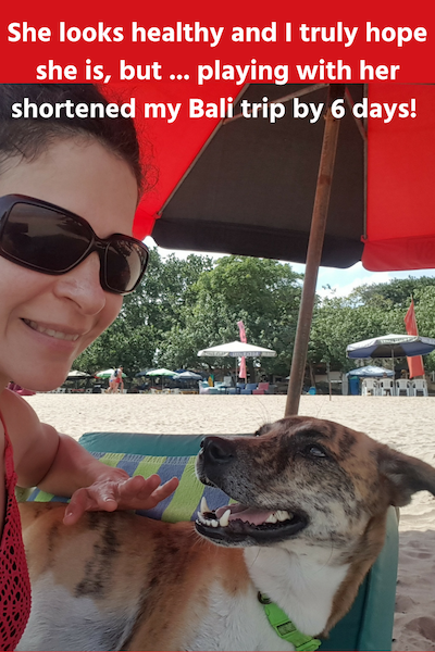 Travel Vaccinations My Bali Rabies Story